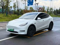 Tesla Model Y Rear-Wheel Drive - ფოტო 1