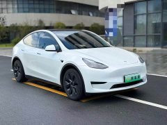 Tesla Model Y Rear-Wheel Drive - ფოტო 3