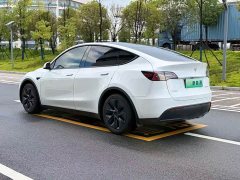 Tesla Model Y Rear-Wheel Drive - ფოტო 9