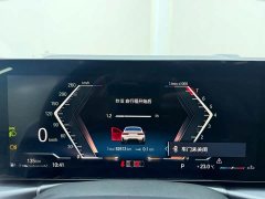 BMW 3 Series 320Li M Sport Package - ფოტო 10