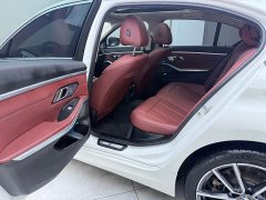 BMW 3 Series 320Li M Sport Package - ფოტო 15