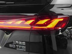 Audi Q6 2024 40 TFSI quattro Guanyun Edition Yulin Package 7-seater - ფოტო 14