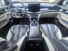 BYD Qin PLUS EV 500KM Luxury - ფოტო 11