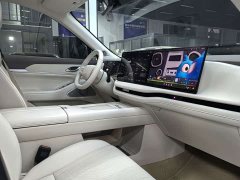 Great Wall WEY Blue Mountain 2025 Four-Wheel Drive Max - photo 10