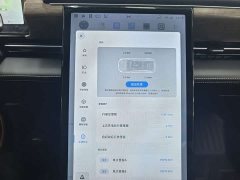 XPeng P5 460E - ფოტო 9