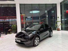 Tesla Model Y Long Range All-Wheel Drive - ფოტო 1