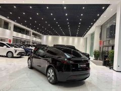 Tesla Model Y Long Range All-Wheel Drive - ფოტო 17
