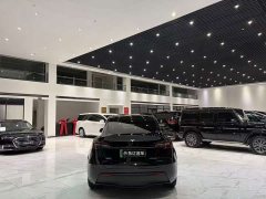 Tesla Model Y Long Range All-Wheel Drive - ფოტო 18