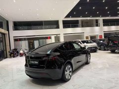 Tesla Model Y Long Range All-Wheel Drive - ფოტო 19