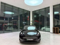 Tesla Model Y Long Range All-Wheel Drive - ფოტო 2