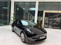Tesla Model Y Long Range All-Wheel Drive - ფოტო 3