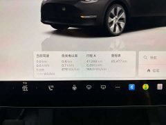 Tesla Model Y Long Range All-Wheel Drive - ფოტო 8