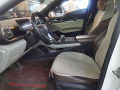 BYD Qin PLUS Glory Edition DM-i 55KM Superior - photo 6