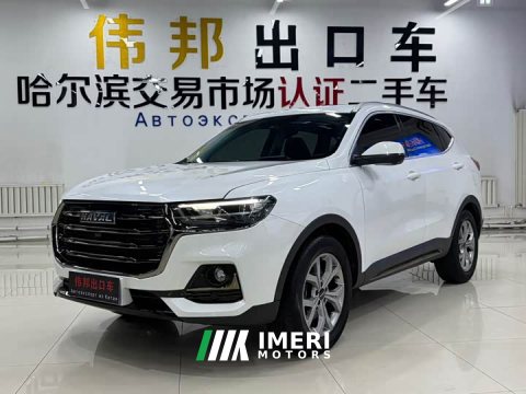 2022 Haval H6 2021 1.5T Automatic Champion Edition - ავტომობილი ჩინეთიდან
