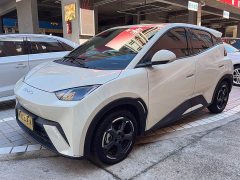 BYD Seagull 2023 Freedom Edition - ფოტო 2