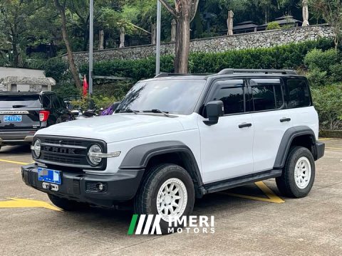 2021 Tank 300 Off-Road Edition 2.0T Explorer - ავტომობილი ჩინეთიდან