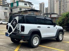 Tank 300 Off-Road Edition 2.0T Explorer - ფოტო 7