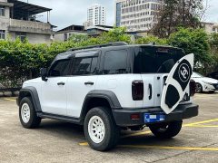 Tank 300 Off-Road Edition 2.0T Explorer - ფოტო 9