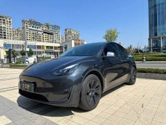 Tesla Model Y Rear-Wheel Drive - ფოტო 3