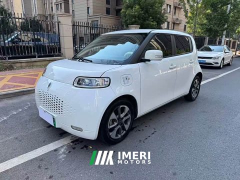 2021 ORA White Cat 2020 305km Luxury - ავტომობილი ჩინეთიდან