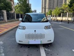 ORA White Cat 2020 305km Luxury - ფოტო 2