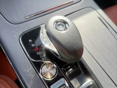 GAC Trumpchi E9 Lunar New Year Edition - ფოტო 11