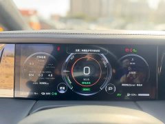 GAC Trumpchi E9 Lunar New Year Edition - ფოტო 12