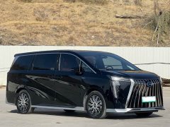 GAC Trumpchi E9 Lunar New Year Edition - ფოტო 3