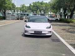 Tesla Model 3 Standard Range RWD Upgrade - ფოტო 1
