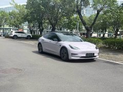 Tesla Model 3 Standard Range RWD Upgrade - ფოტო 2