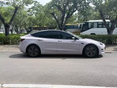 Tesla Model 3 Standard Range RWD Upgrade - ფოტო 3