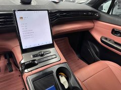 NIO EC6 75kWh Performance - ფოტო 8