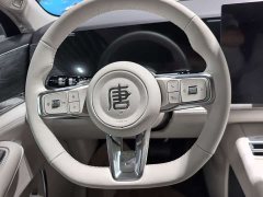 BYD Datang EV 800KM RWD LiDAR Executive Edition - ფოტო 12