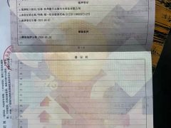 Li Auto L6 Max - ფოტო 19