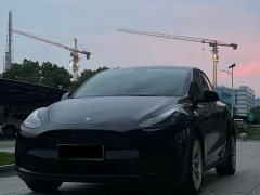 Tesla Model Y Rear-Wheel Drive - ფოტო 1