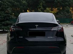 Tesla Model Y Rear-Wheel Drive - ფოტო 7