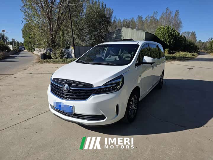 Buick GL8 Land Executive Cabin 652T Luxury