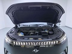 Great eπ 008 Extended Range Home Edition (6-Seater) - photo 14