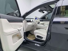 Great eπ 008 Extended Range Home Edition (6-Seater) - photo 4