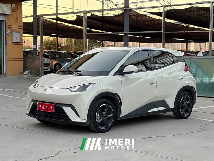 BYD Seagull 2023 Freedom Edition - ავტომობილი ჩინეთიდან