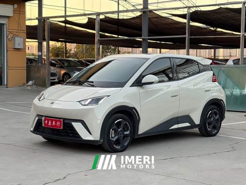 2024 BYD Seagull 2023 Freedom Edition - автомобиль из Китая