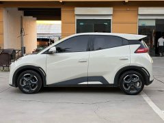 BYD Seagull 2023 Freedom Edition - ფოტო 14