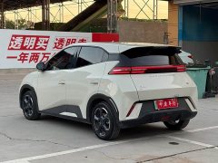 BYD Seagull 2023 Freedom Edition - ფოტო 18