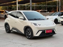 BYD Seagull 2023 Freedom Edition - ფოტო 3