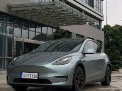 Tesla Model Y Standard Range RWD - ფოტო 1
