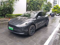 Tesla Model Y Long Range All-Wheel Drive - ფოტო 1