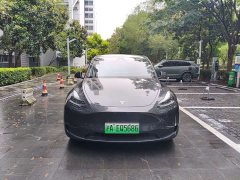 Tesla Model Y Long Range All-Wheel Drive - ფოტო 2