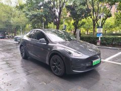 Tesla Model Y Long Range All-Wheel Drive - ფოტო 3