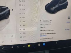 Tesla Model Y Long Range All-Wheel Drive - ფოტო 4