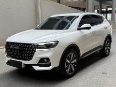Haval H6 National Trend Edition 1.5T Automatic Champion Version - ფოტო 1